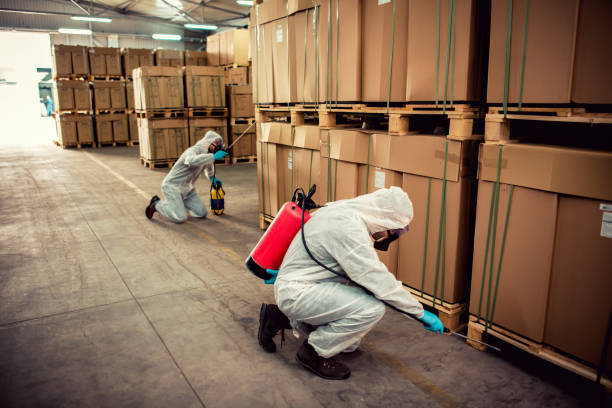 Best Pest Removal Services  in Ridgewood, NJ