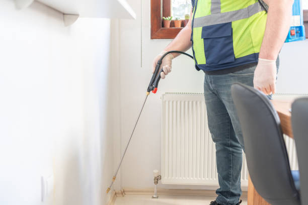 Trusted Ridgewood, NJ Pest Control Experts