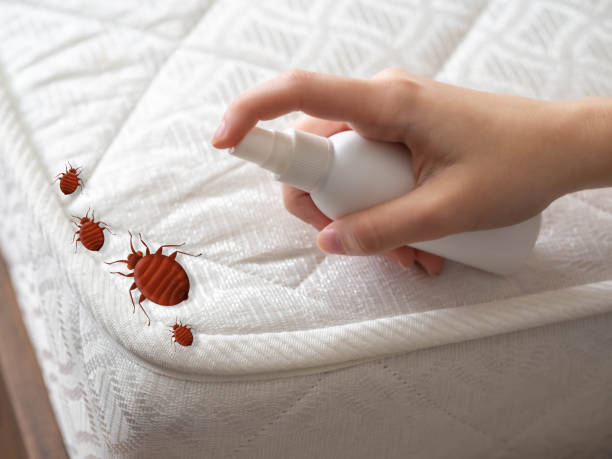 Best Cockroach Control Services  in Ridgewood, NJ