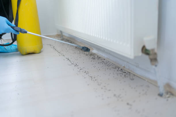 Best Pest Inspection Near Me  in Ridgewood, NJ