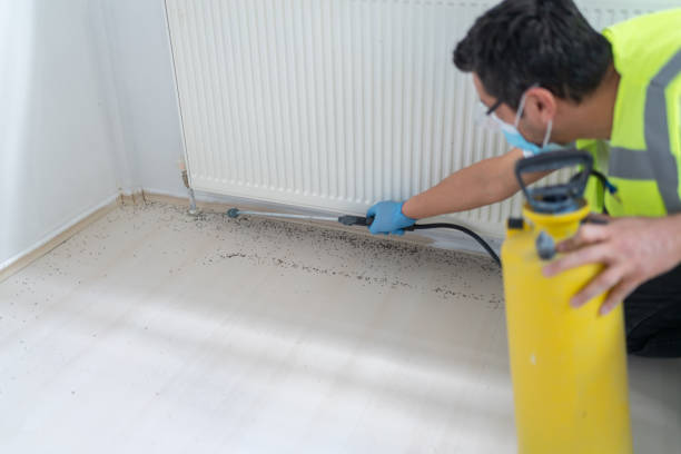 Best Wasp Removal Services  in Ridgewood, NJ