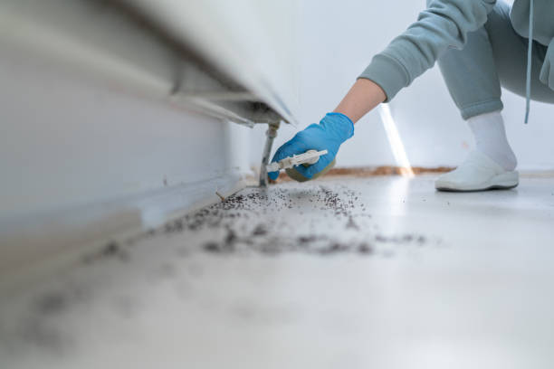 Best Affordable Pest Control Services  in Ridgewood, NJ